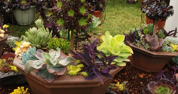 Gardening Cake Designs