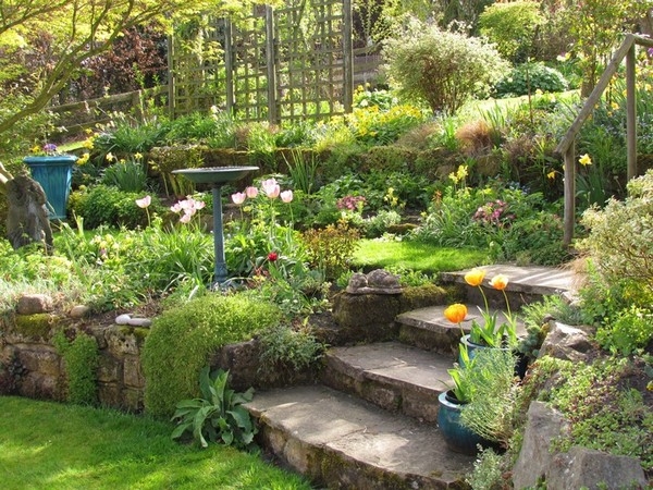 Gardening On Slopes