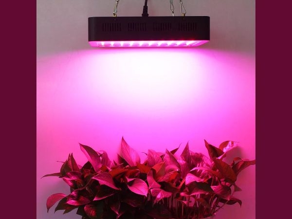 Grow Light Indoor Gardening Ideas