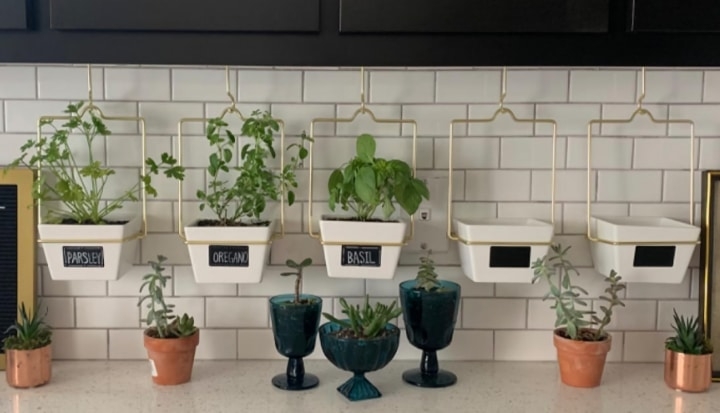hanging herb planters in the kitchen