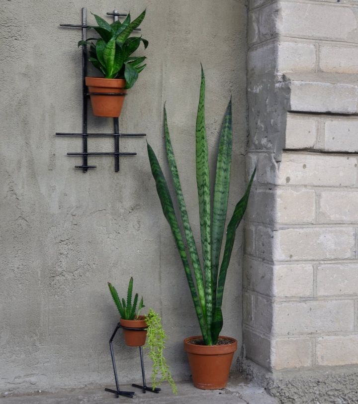 hanging planters on brick wall