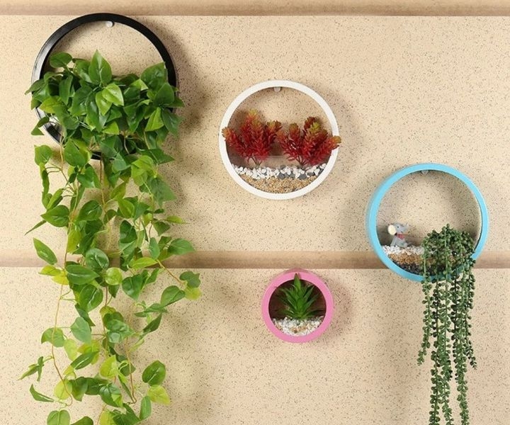hanging wall planters for succulents