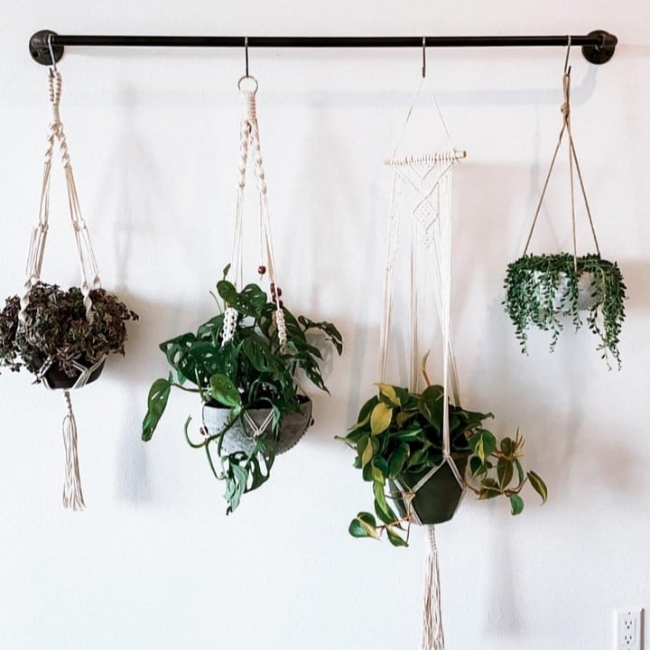 hanging wall planters