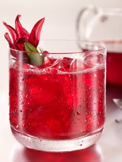 Hibiscus Tea Weight Loss
