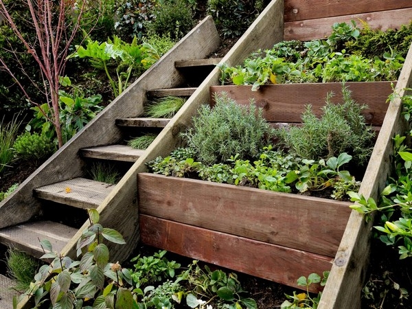 Hillside Landscaping