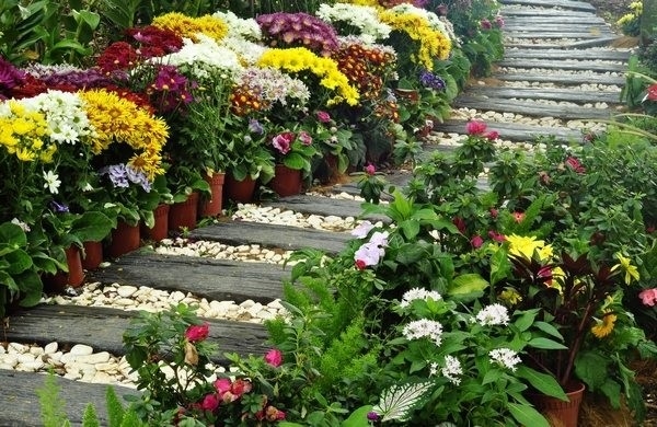 Home Gardening Designs