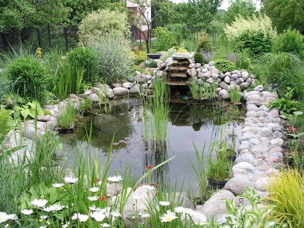Homebase Water Features