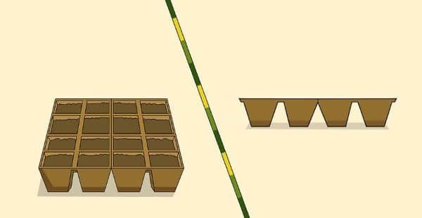 How to Grow Chamomile Indoors Step 2