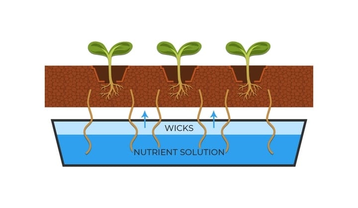 hydroponic wick system