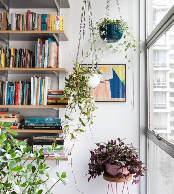 Indoor Apartment Gardening Ideas