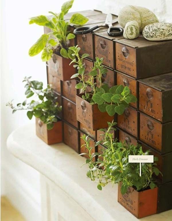 Indoor Gardening Boxes