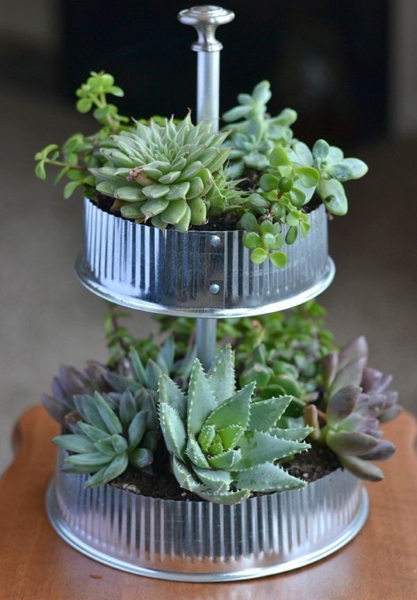 Indoor Gardening DIY Ideas