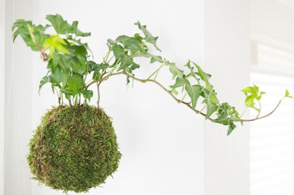 Indoor Gardening Expo 2018 System