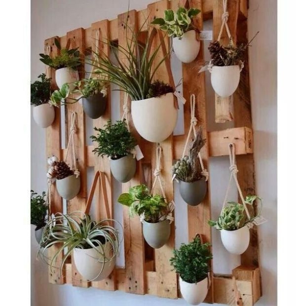 Indoor Gardening For Beginners