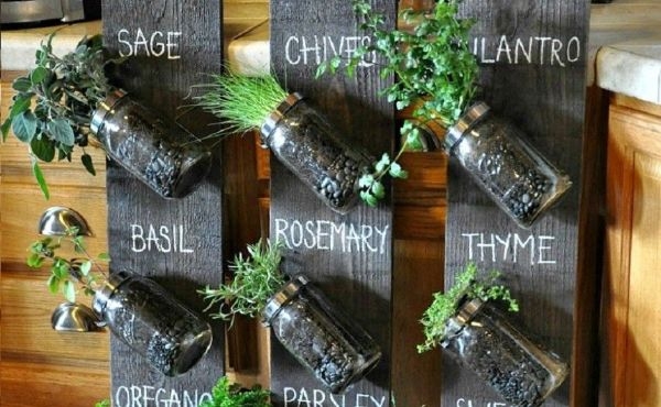Indoor Gardening Ideas For Beginners