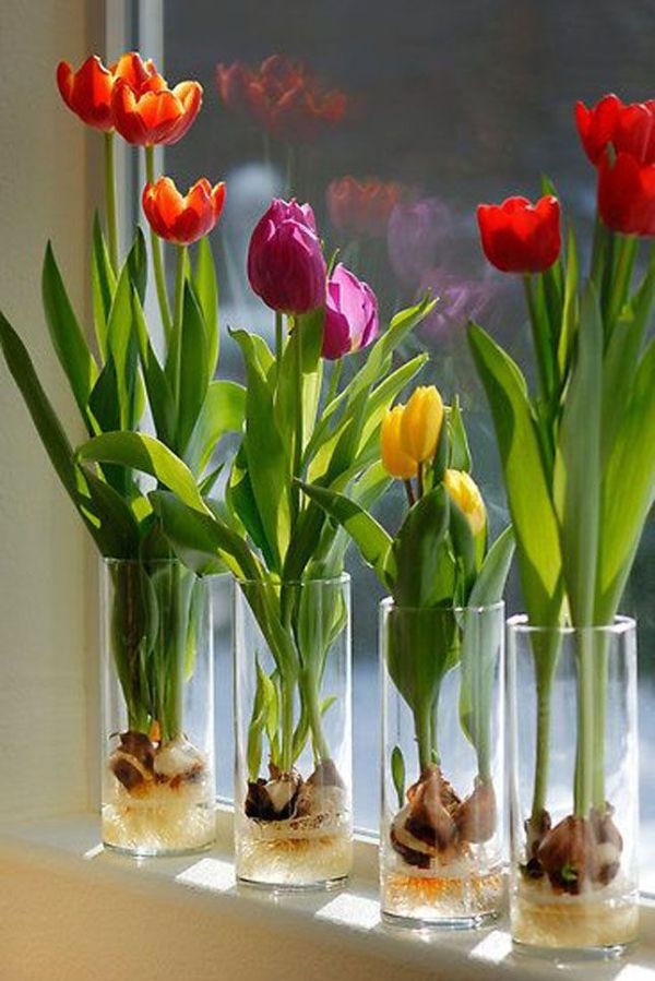 Indoor Gardening Ideas Spring