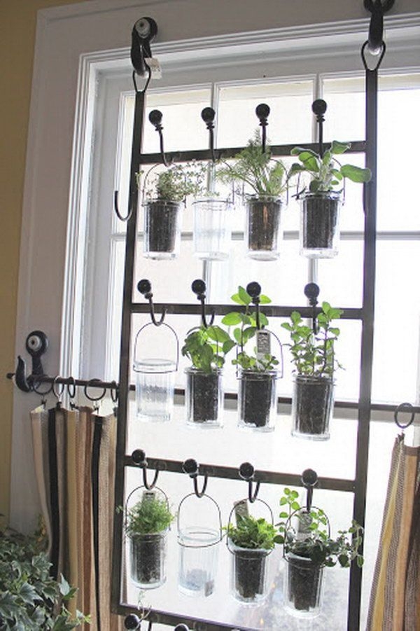 Indoor Gardening Kit