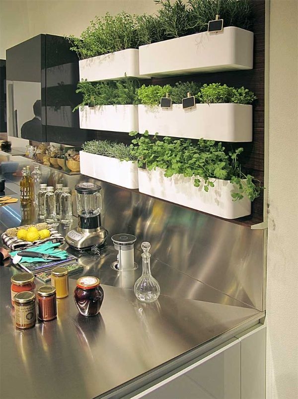 Indoor Gardening Kitchen Ideas