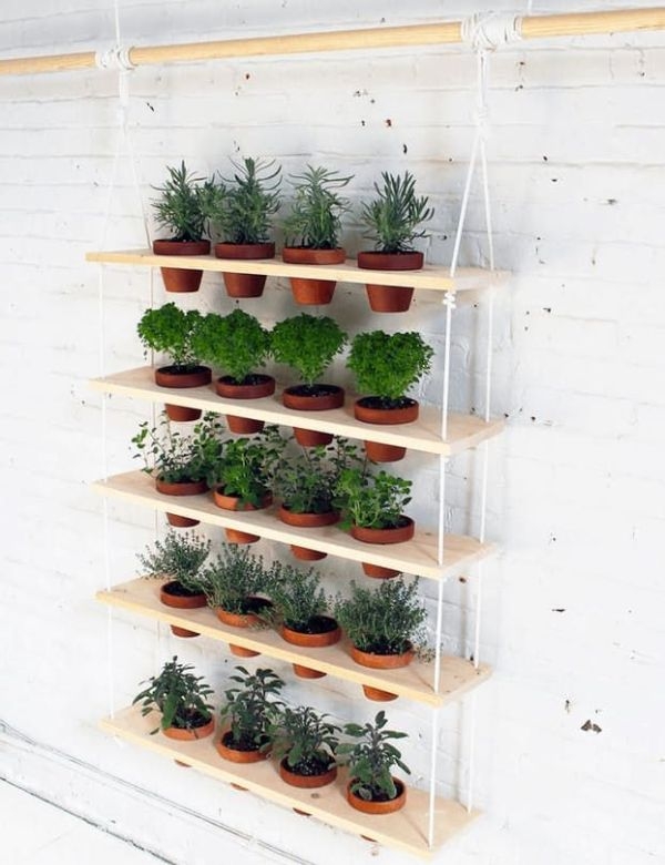 Indoor Gardening Reddit