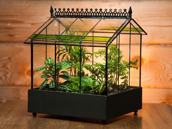Indoor Gardening Terrarium