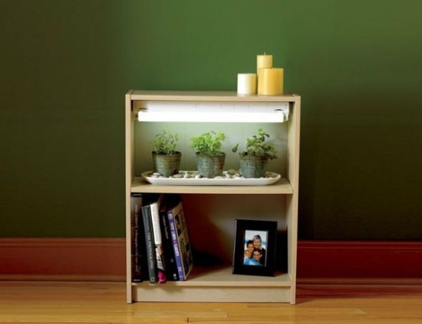 Indoor Gardening Winter
