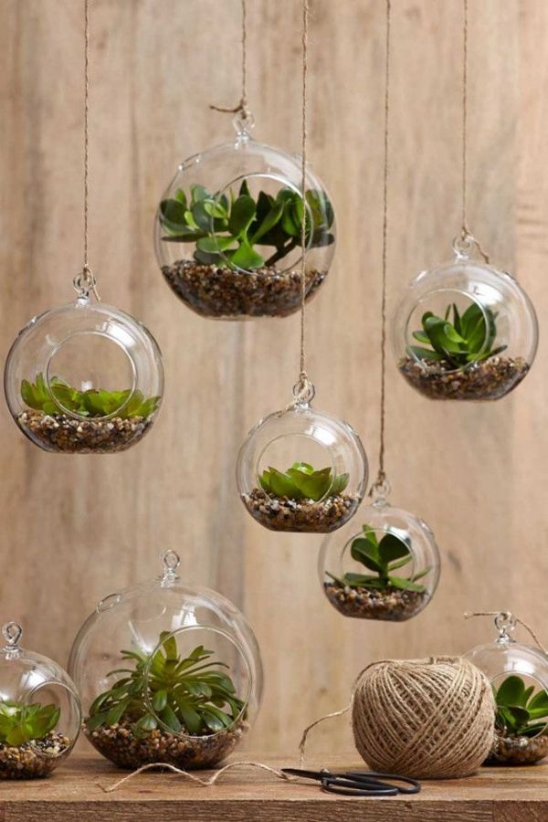 Indoor Gardening