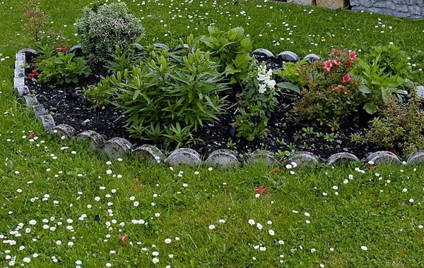 Inexpensive Lawn Edging Ideas Mulch