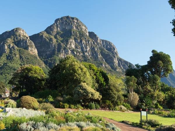 Kirstenbosch National Botanical Garden