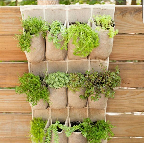 Kitchen Organizer Indoor Garden
