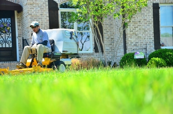 landscape services