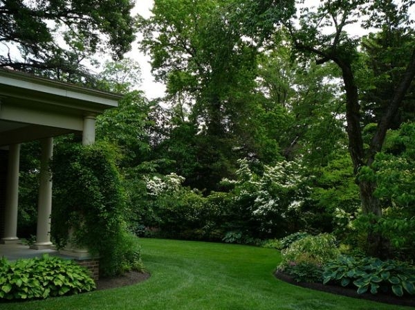 Landscaping Ideas For Backyards