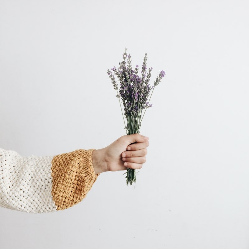 lavender flowers for mothers day
