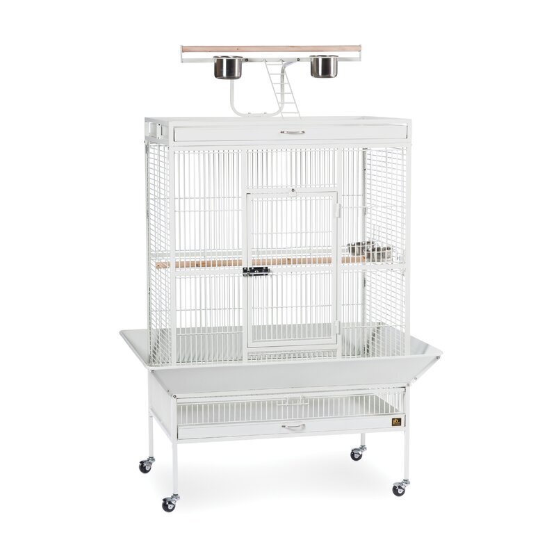 Lightweight Bird Aviary on Wheels