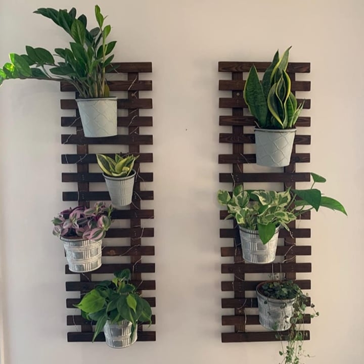 living plant wall with pallet support