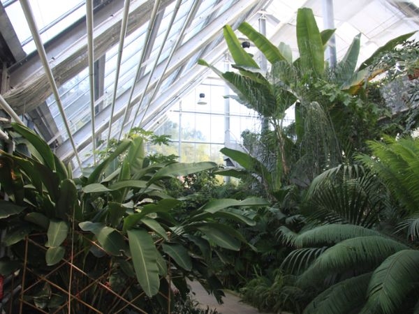 Ljubljana Botanical Garden