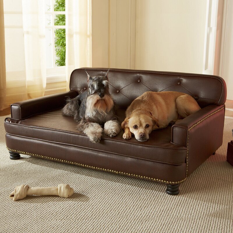 Luxurious Modern Executive Dog Sofa