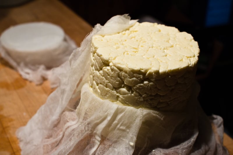 making cheddar cheese at home