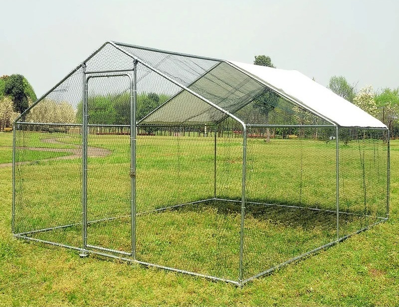 Mesh Chicken Run