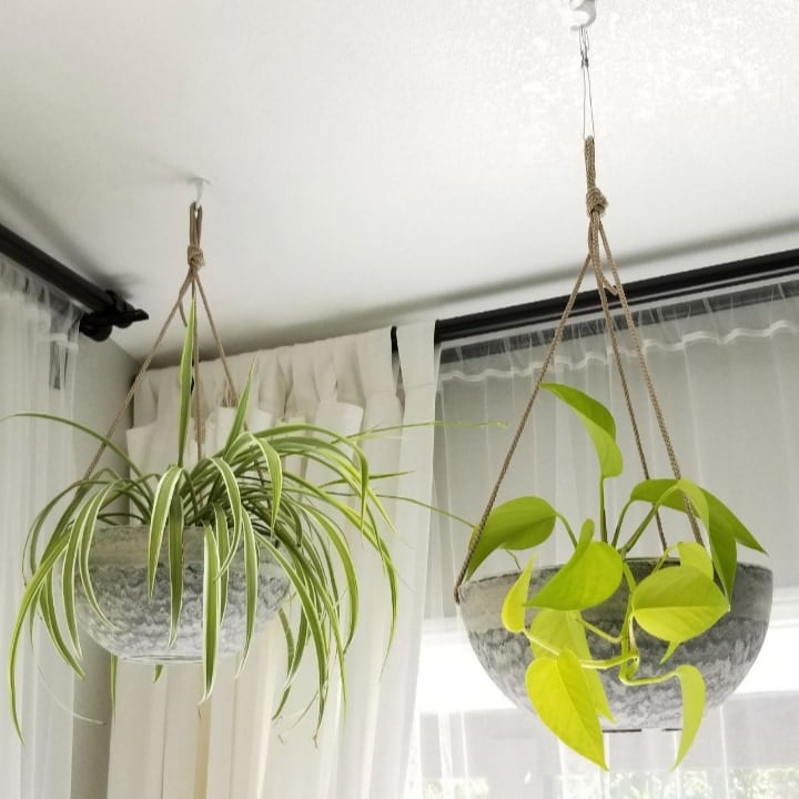 minimalist hanging wall planter