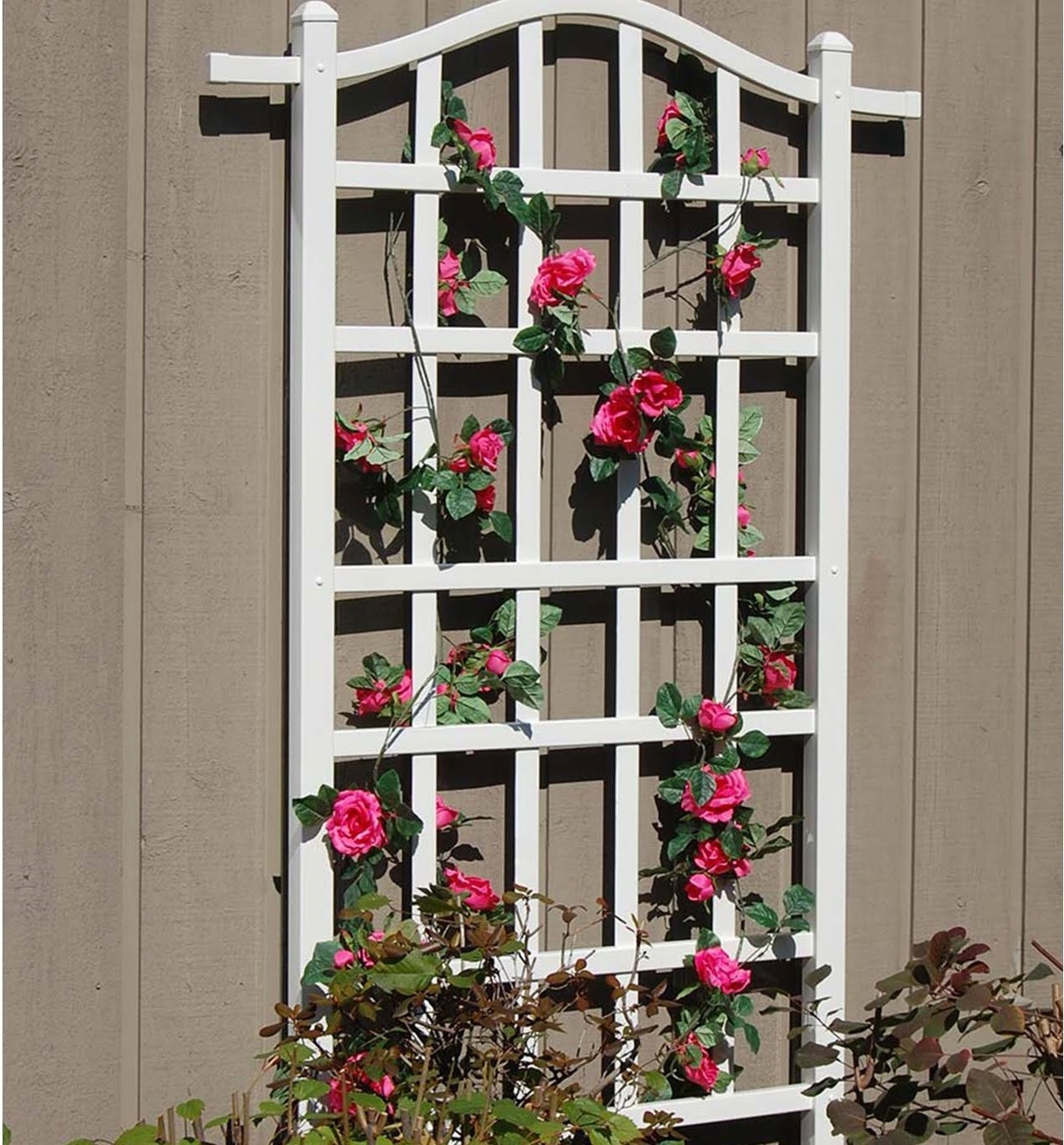 Minimalist Style 75” Tall Garden Trellis 