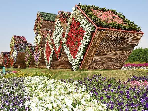 Miracle Garden