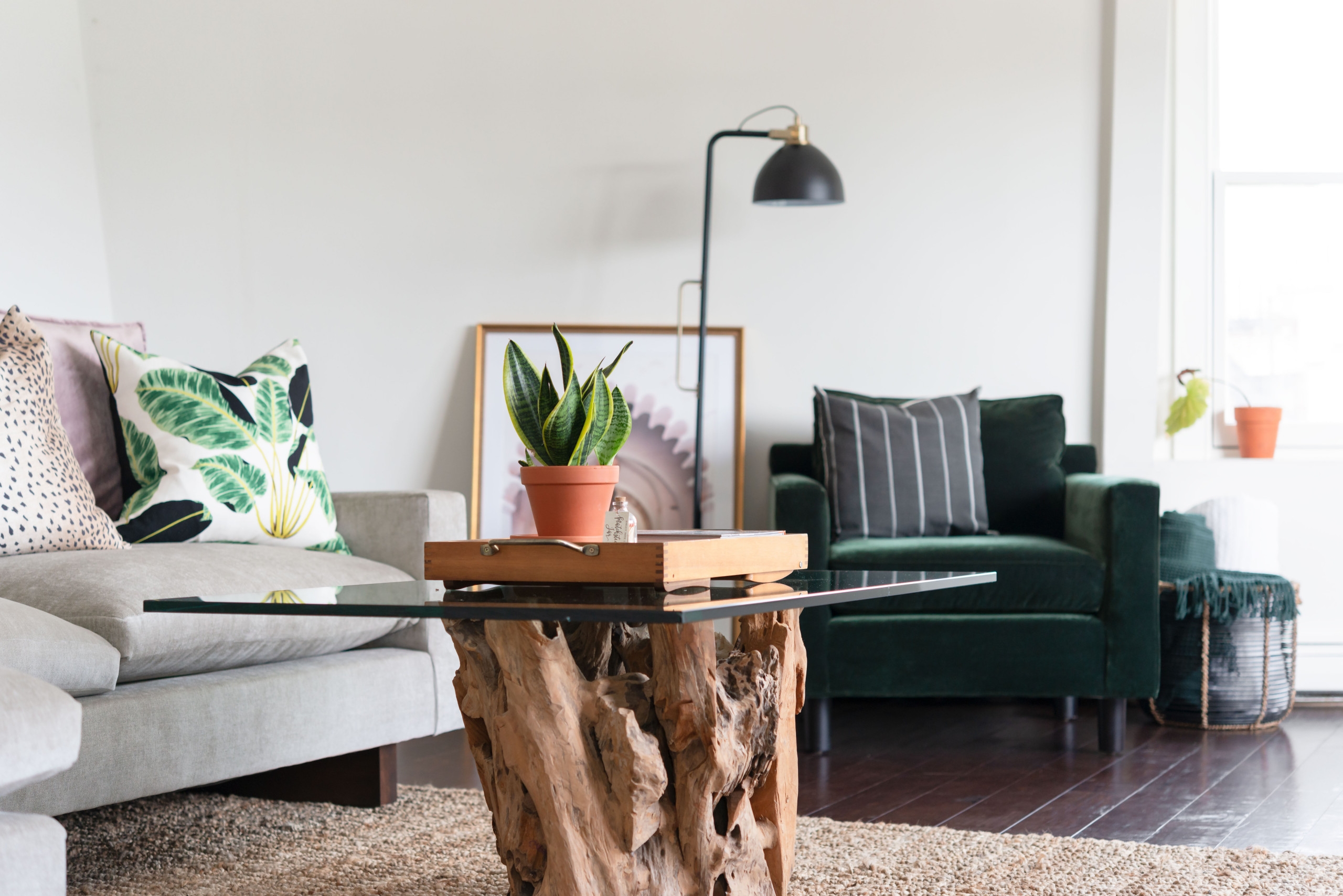 Modern living room with raw wood glass-topped coffee table