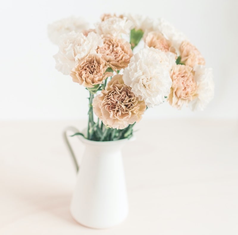 mothers day carnations