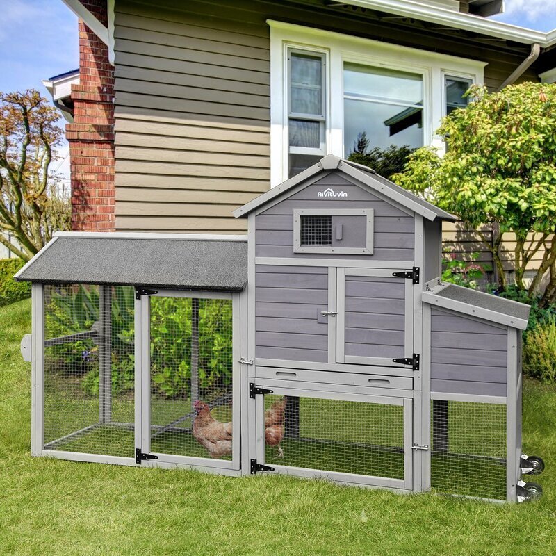 Multi Level Chicken House with Run