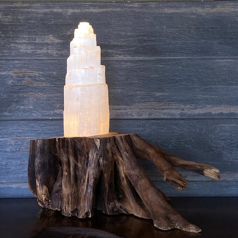 Naturalistic Native American Lamp