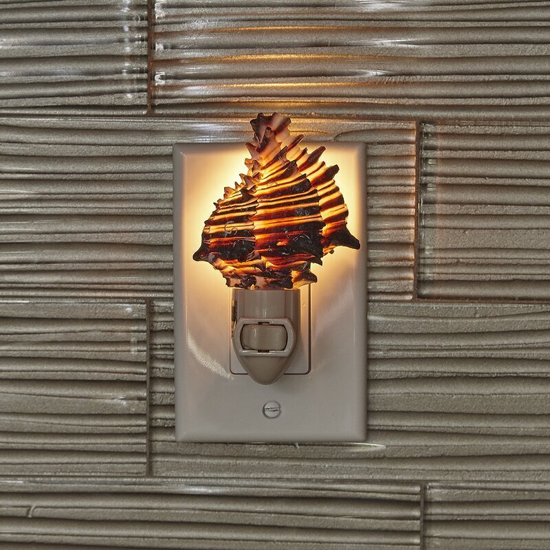 Nautical seashell night light