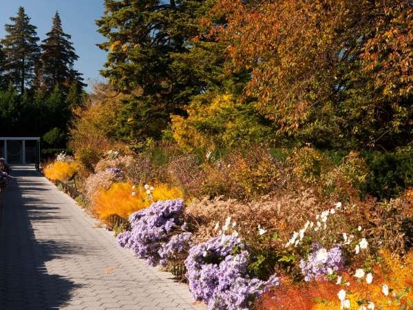 New York Botanical Garden