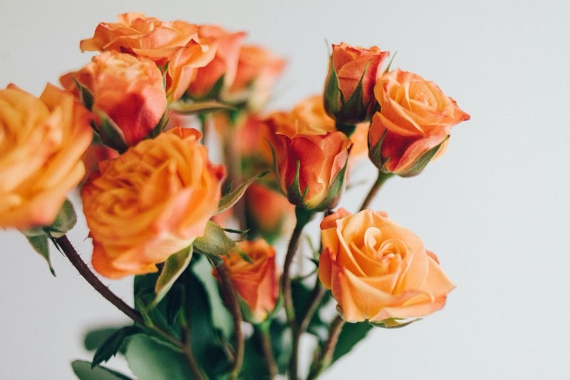 orange mothers day flowers