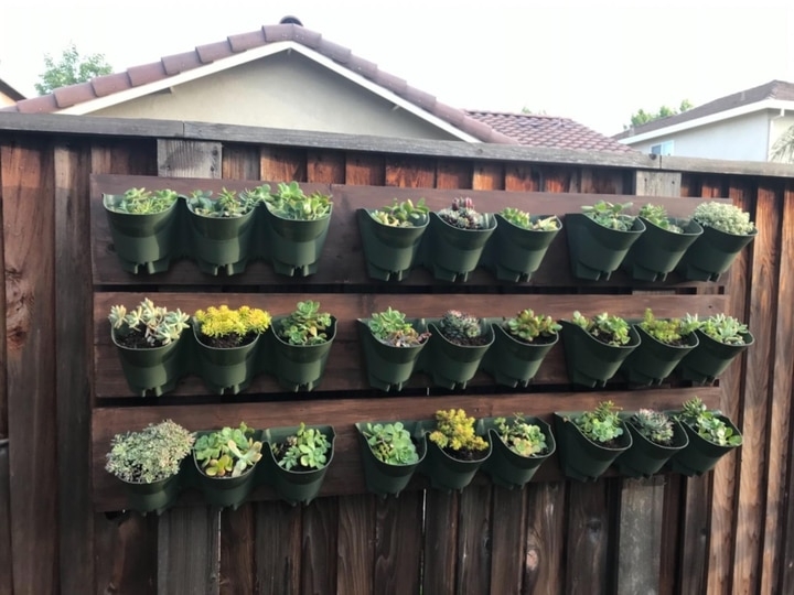 outdoor planted wall fence