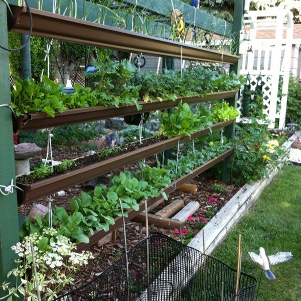 Outdoor Vertical Gardening